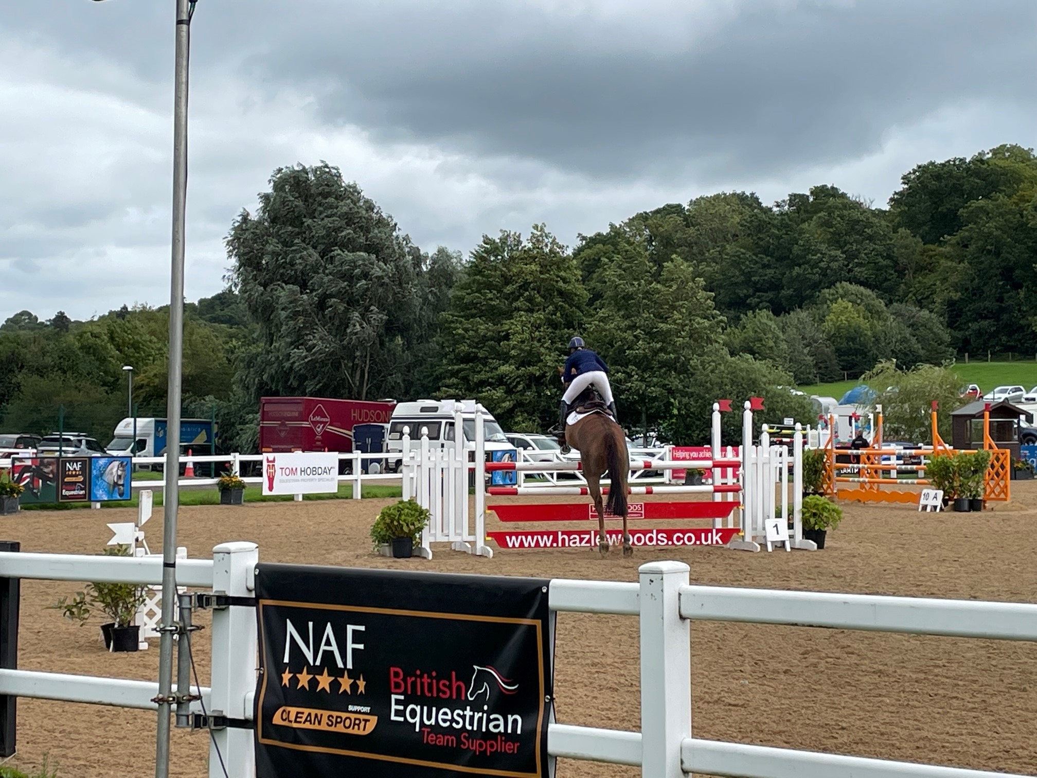 Client story Competition/stud and livery business breaching VAT