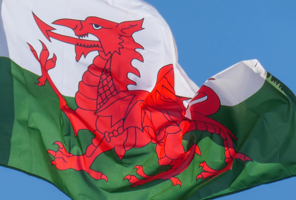 welsh flag for welsh care providers