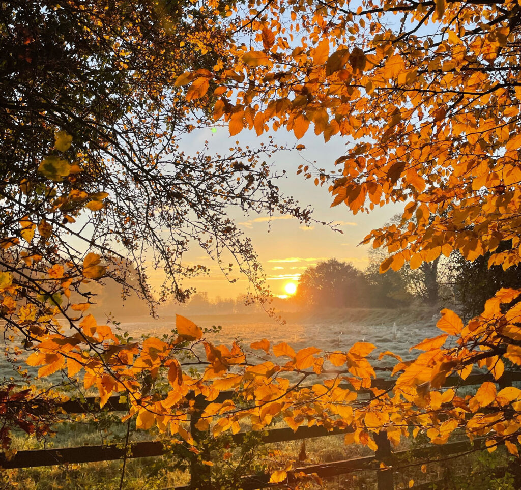 Agricultural Focus autumn 2026